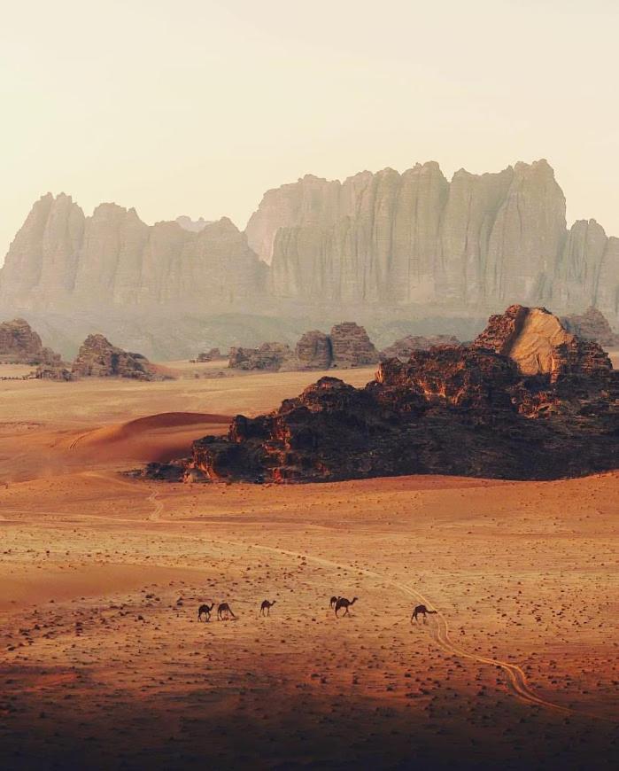 Wadi Rum Desert Camp Екстериор снимка